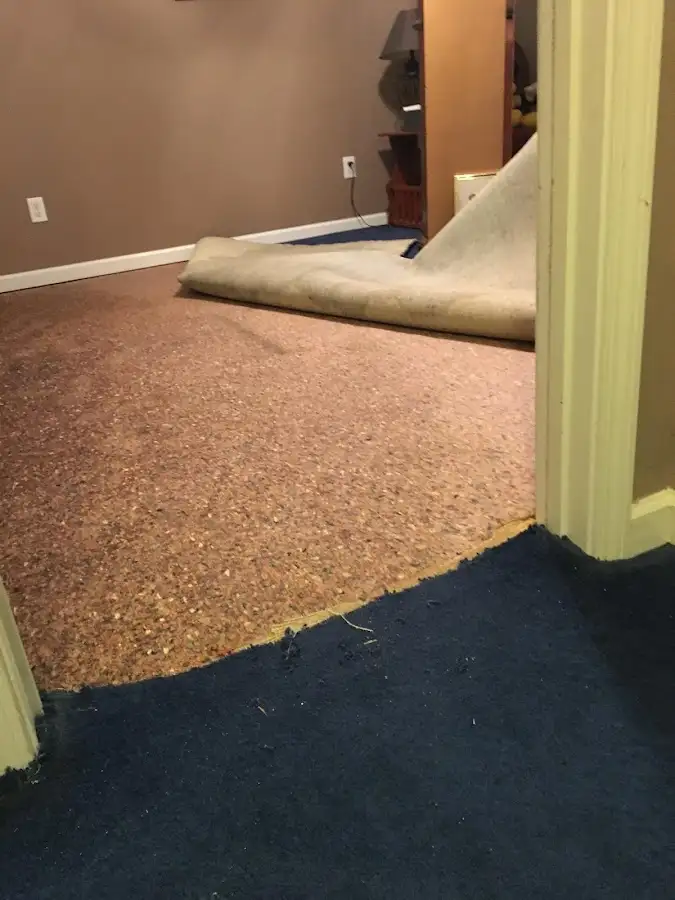 Carpet pad removal revealing water damage during Water Mitigation Services in Norfolk