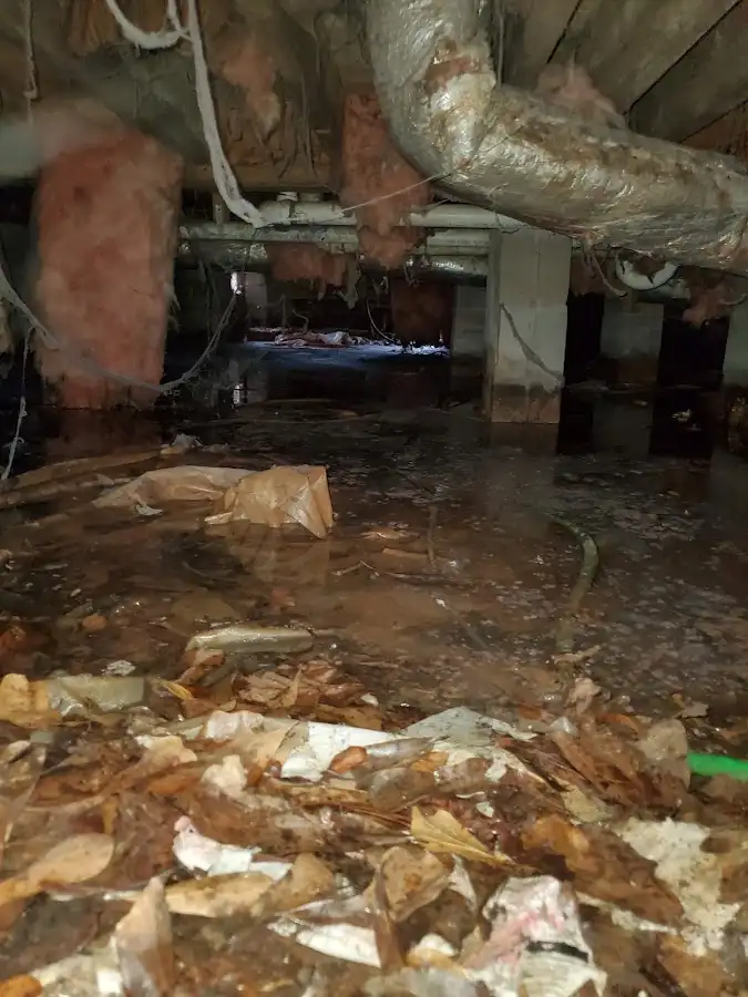 Crawl space flood assessment for Commercial Water Damage Restoration in Norfolk